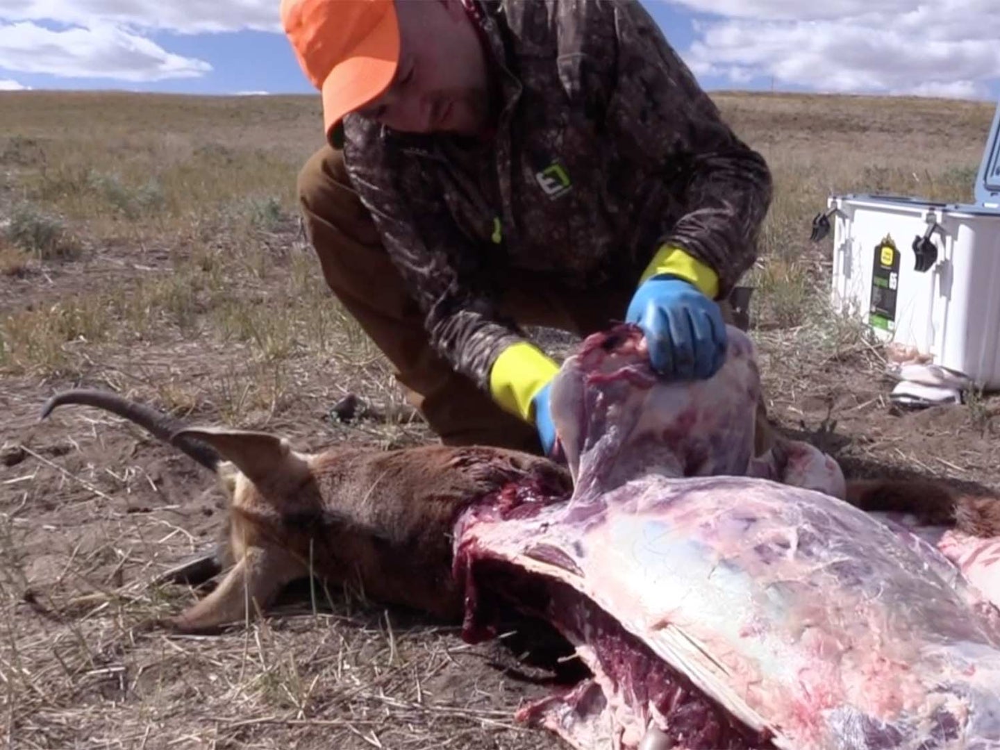 A hunter butchers and skins an antelope in a large open plain.
