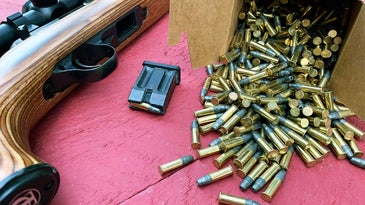 What Would You Do with the Last Box of .22 Ammo?