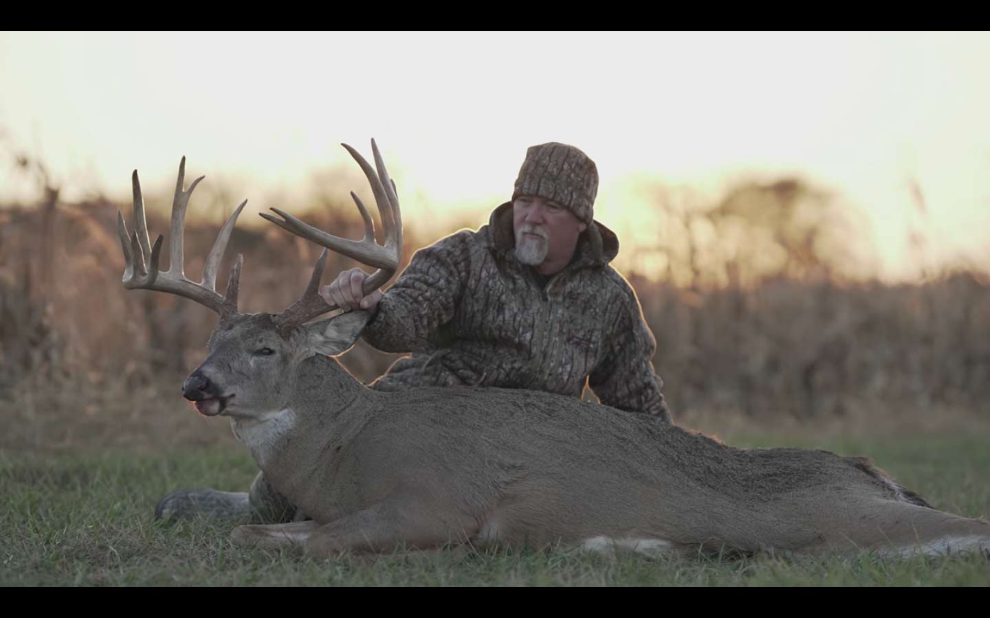 A hunter kneels next to a dropped whitetail deer and holds its antlers.