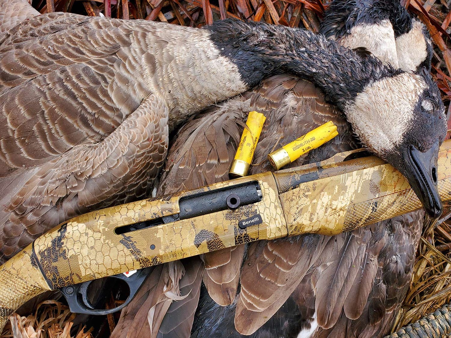 A waterfowl hunting shotgun next to a limit of geese.