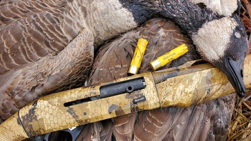 10 of the Best 20-Gauge Shotguns for Hunting Waterfowl