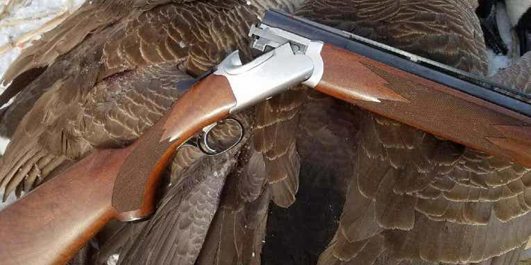 The Best New and Used Break-Action Waterfowl Shotguns