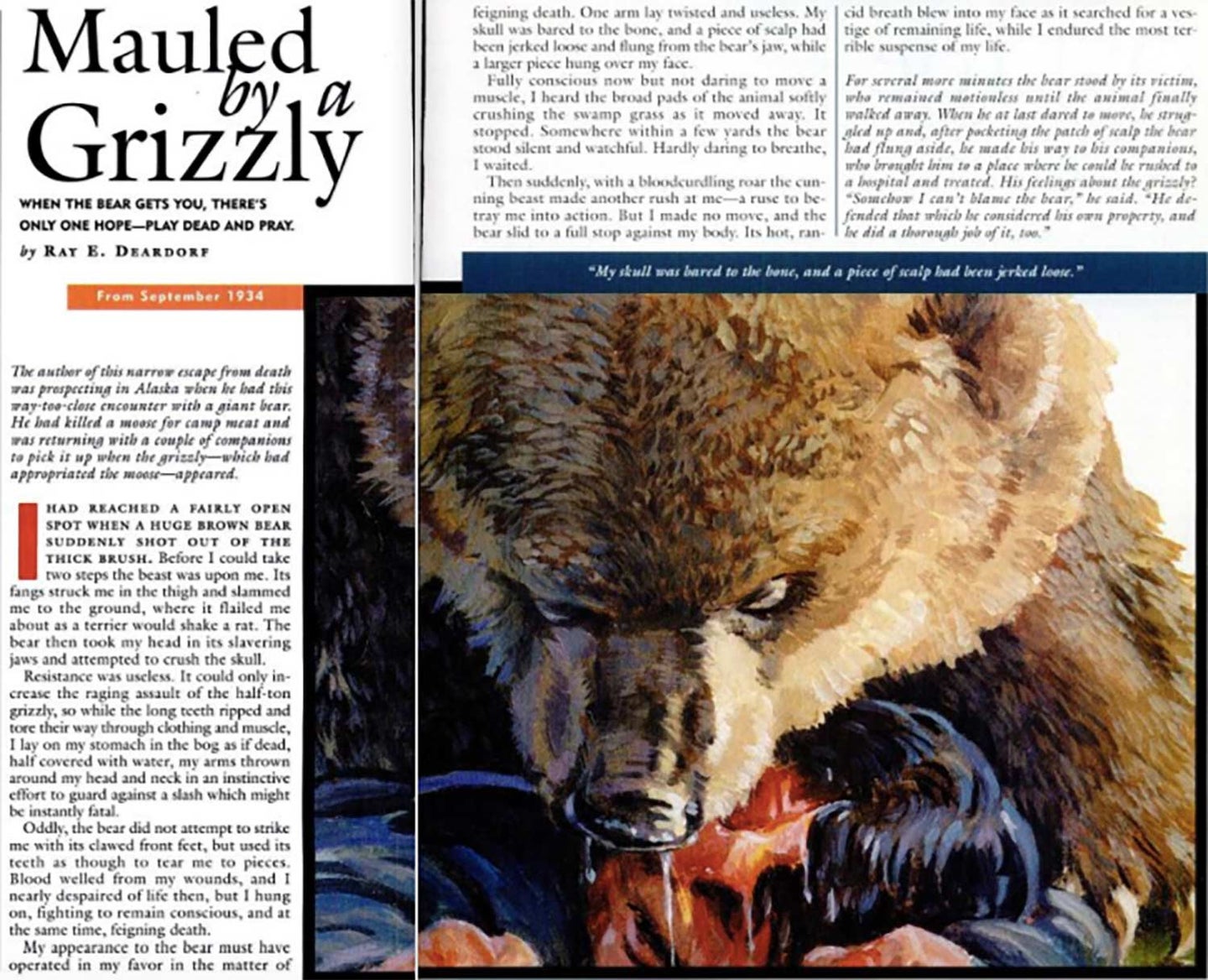 A magazine clipping from Field & stream showing a grizzly bear mauling