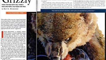 F&S Classics: Mauled by a Grizzly