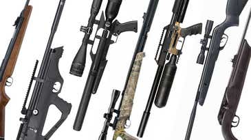 The Best Air Rifles for Squirrel Hunting in 2023