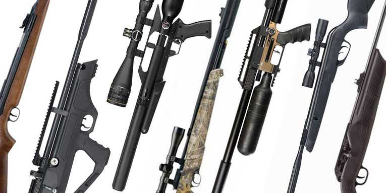 The Best Air Rifles for Squirrel Hunting in 2023