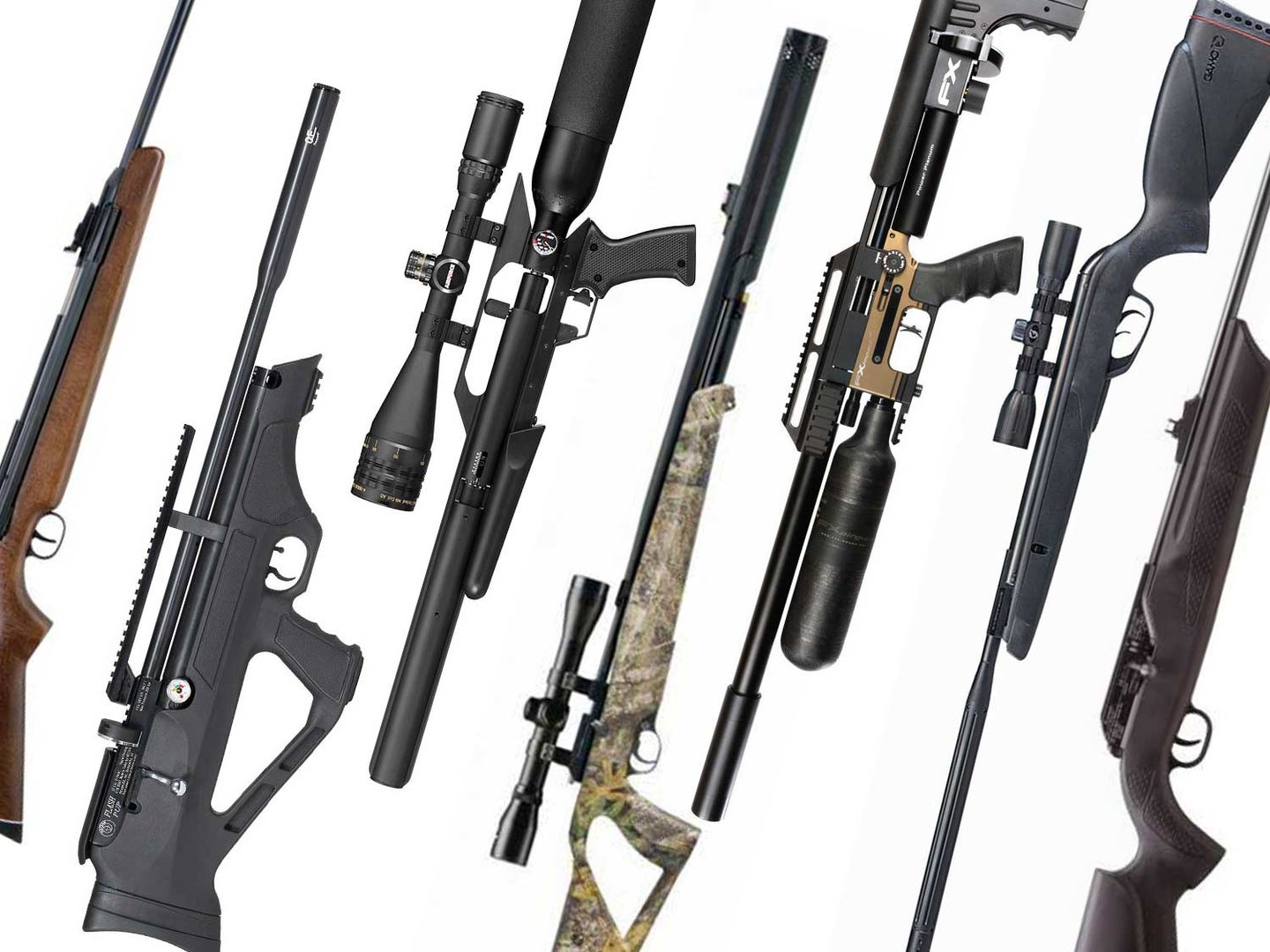 Best Air Rifle for Squirrels: Top Picks for Efficient Squirrel Hunting.