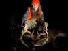 A young girl poses with a whitetail deer and holds its head by its antlers.