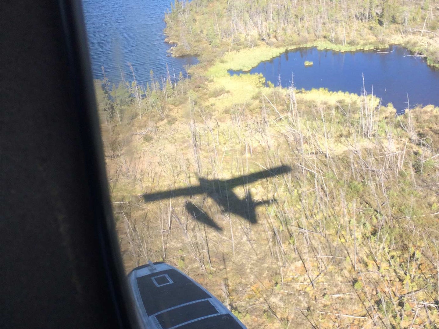 A shadow of a float plane on the grounds below it.