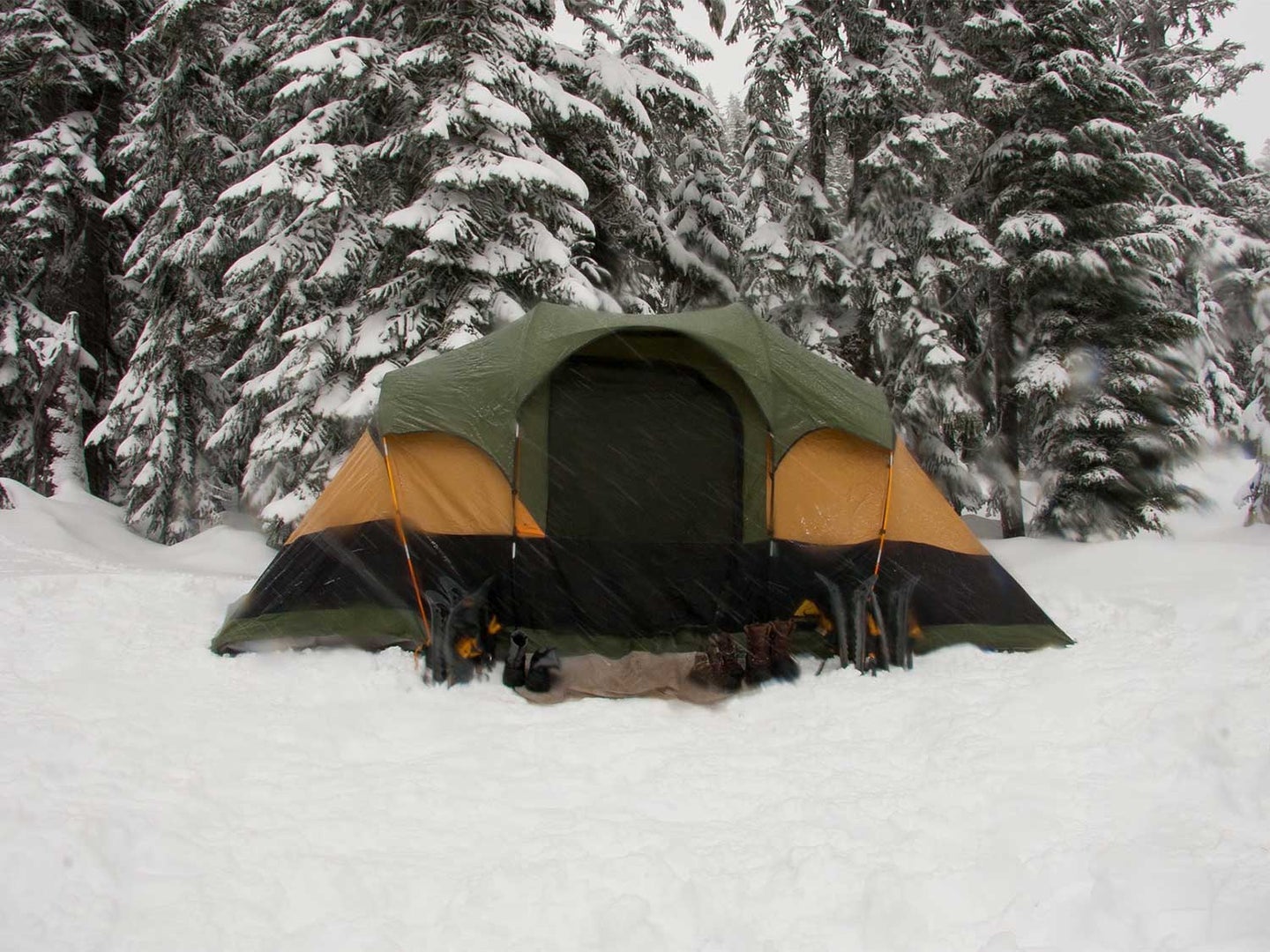 A single camping tent in the snow next to a tree line.