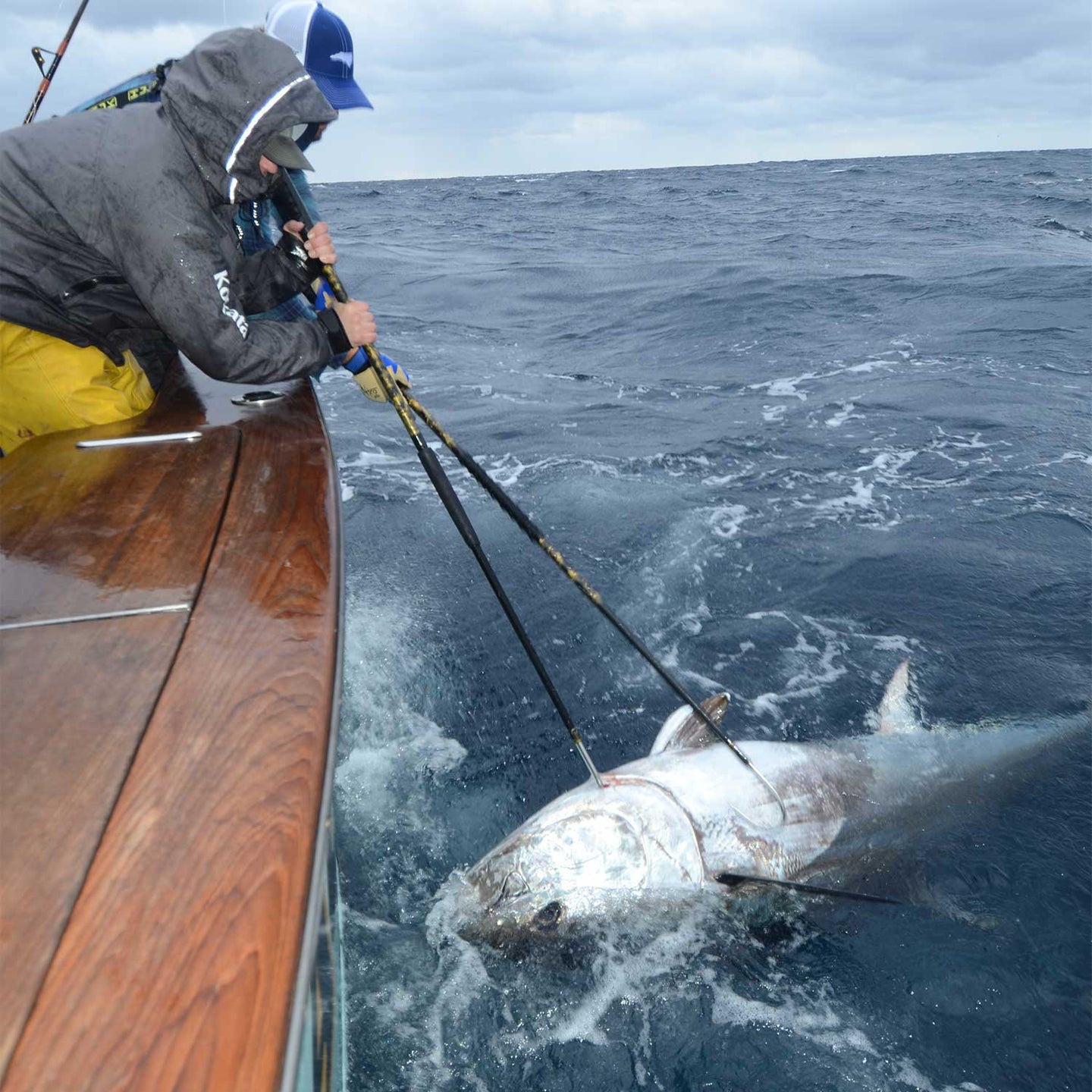 Giant Hatteras Bluefin From a Small Boat - Fishing Reports, News