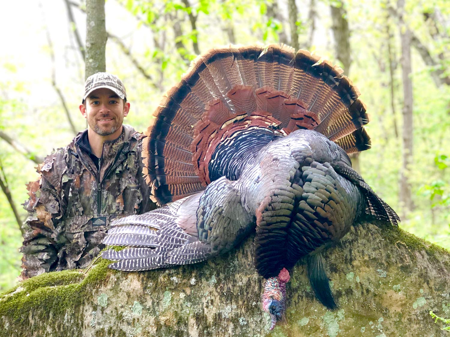 Where and How to Hunt Public-Land Turkeys Field and Stream