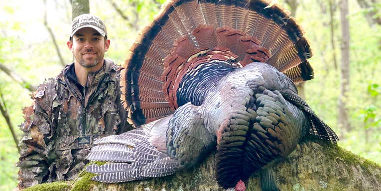 Where and How to Hunt Public-Land Turkeys