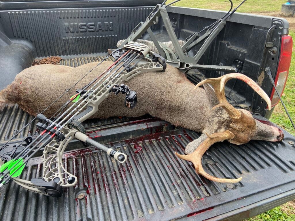 photo of whitetail buck taken with compound bow