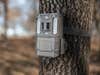 The Bushnell Prime Low Glow Trail Camera.