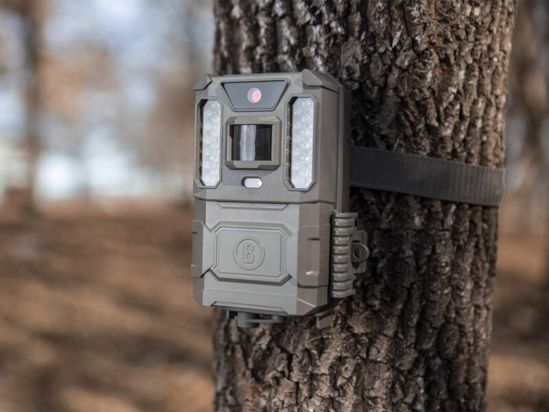 The Bushnell Prime Low Glow Trail Camera.
