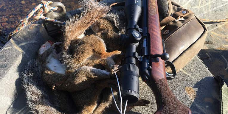 The Best Rimfire Rifles To Improve Your Shooting