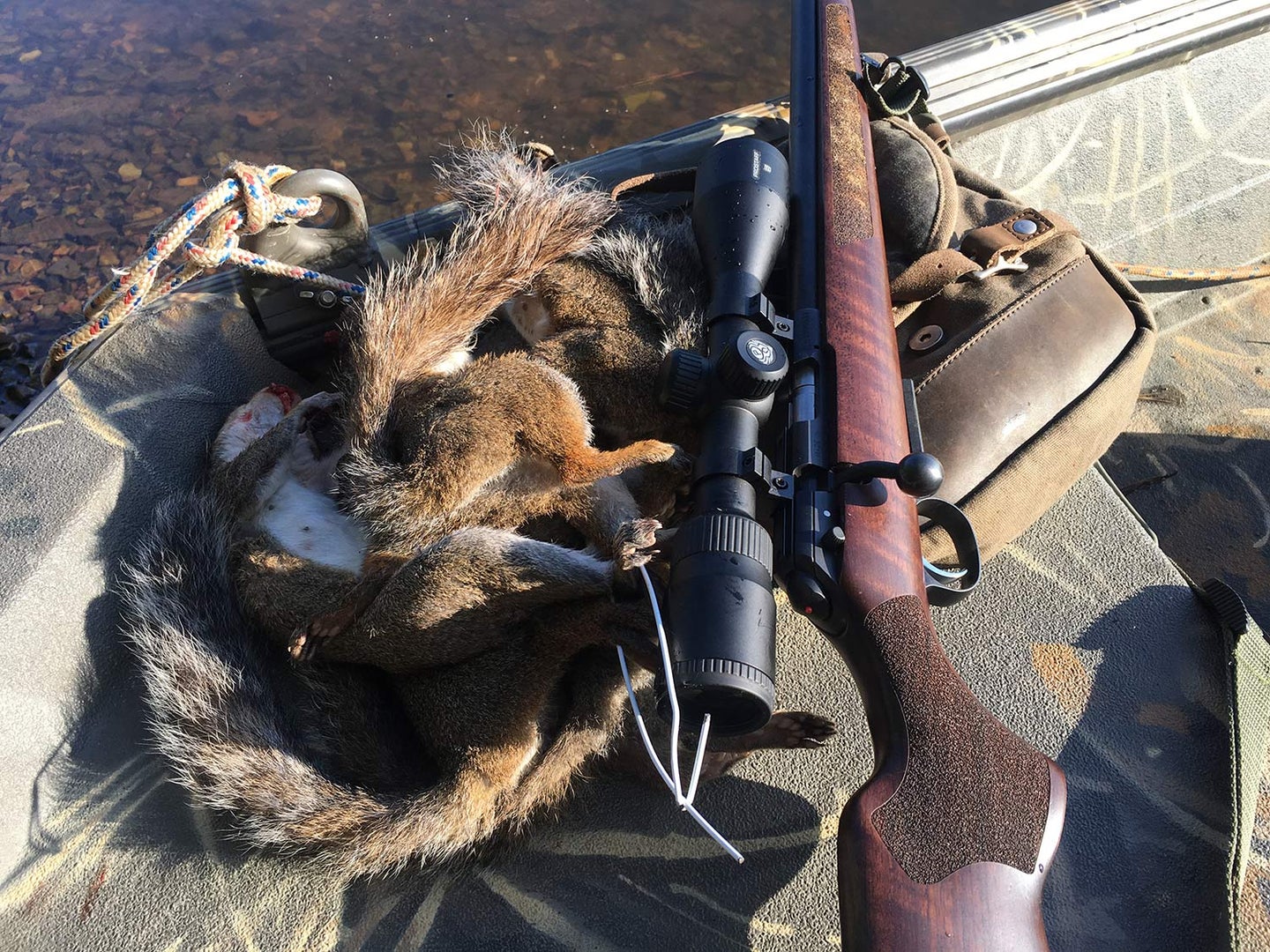 A rifle next to a small squirrel