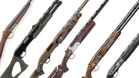 A collage of shotguns on a white background.