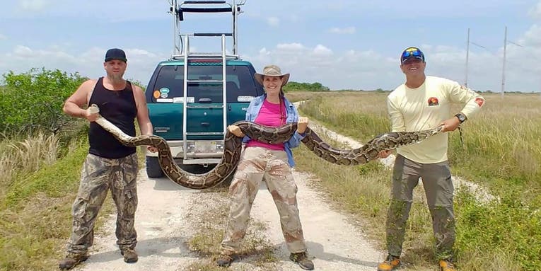 Meet Donna Kalil: The Python-Hunting Queen of South Florida