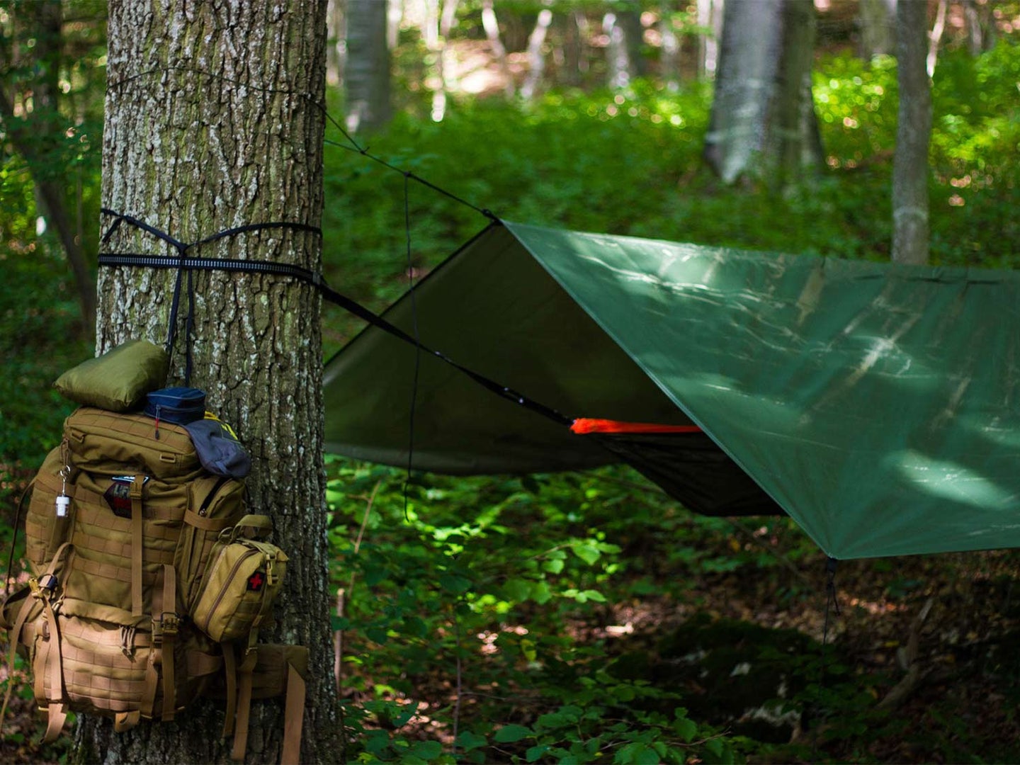 A backpack hanging on a tree and a hammock tarp tied to a tree.