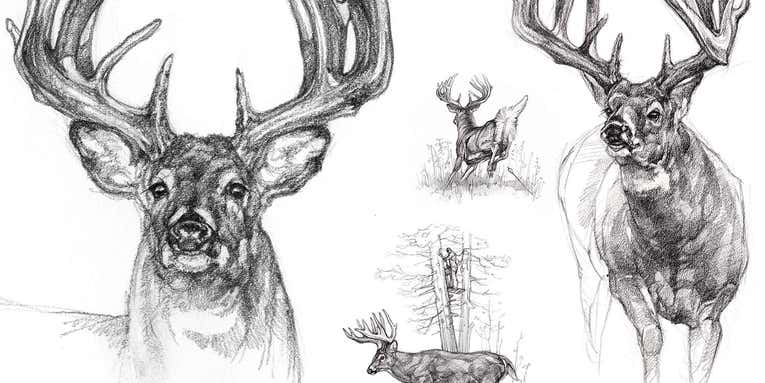 Wildlife Artist Ryan Kirby Arrows 200-Inch Buck, and Sketches the Hunt for F&S