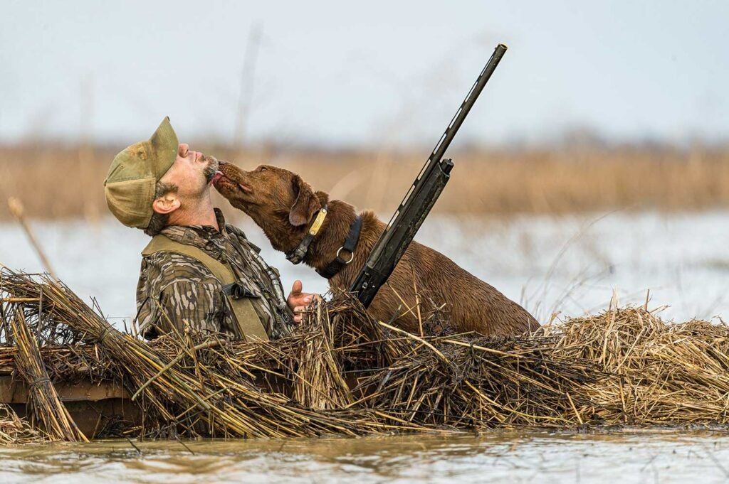 Duck hunter and his hunting dog.