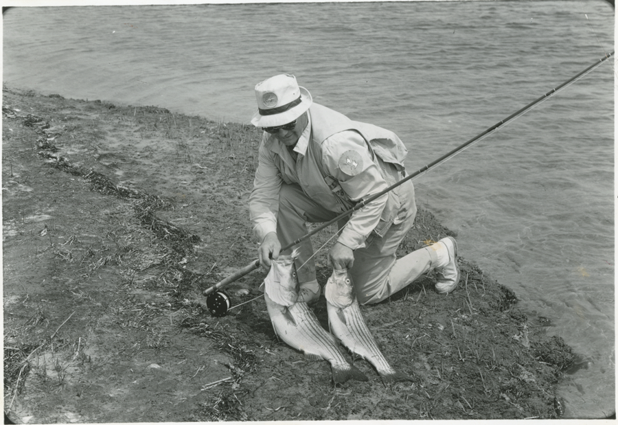 Black and white image of a striped bass angler.