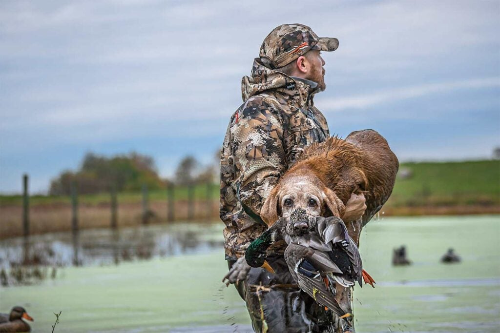 Hunter carrying a hunting dog.
