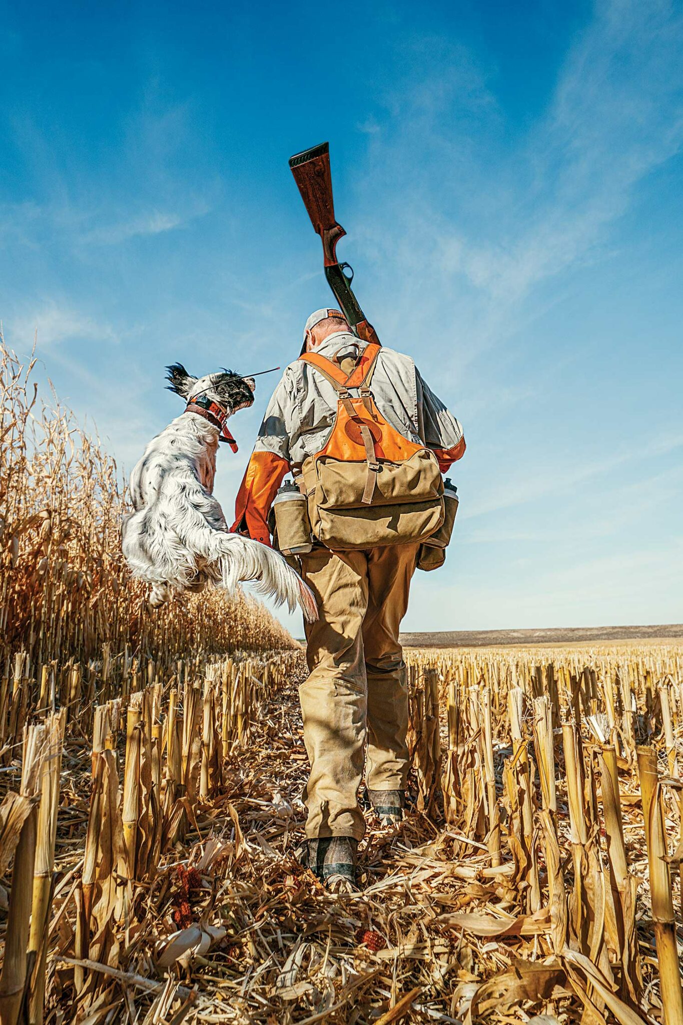A Tribute to Hunters and Their Dogs | Field & Stream