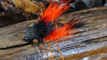 The Only 4 Patterns You Need to Know For Fishing the Brood X Cicada Hatch
