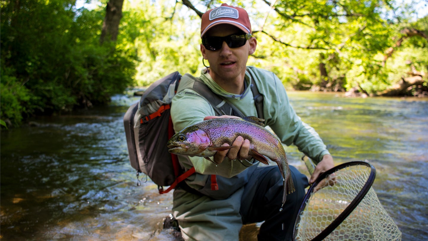 Beginner Fly Fishing Tips on How to Catch Trout