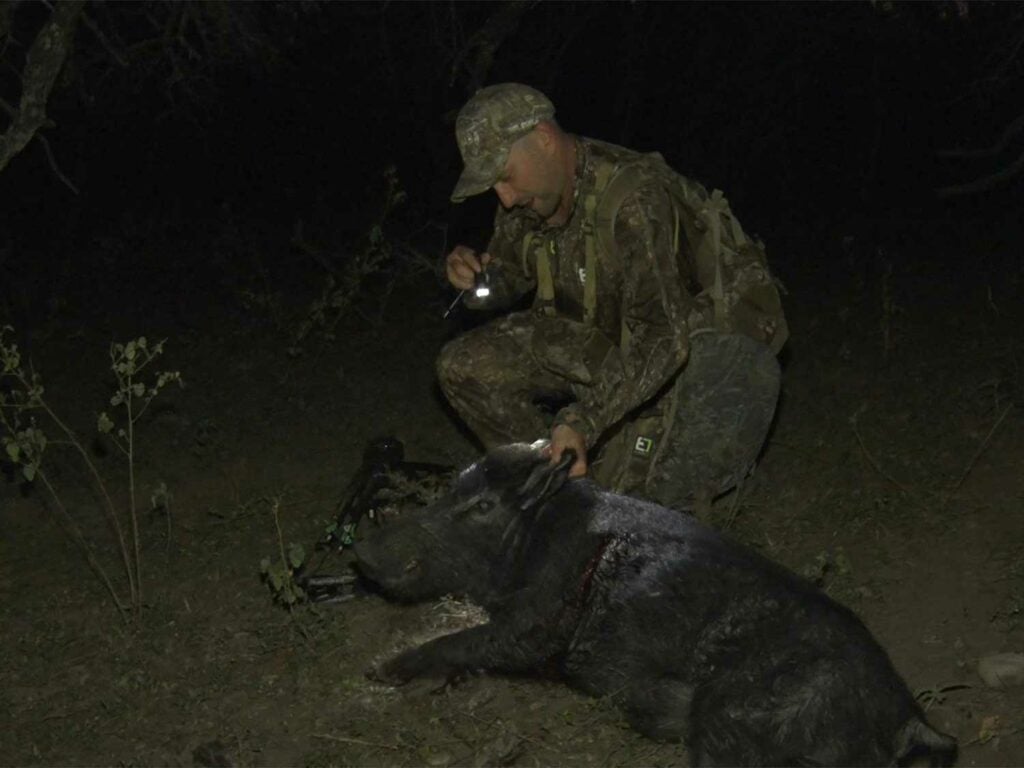 A hunter kneels next to a dead hog at night.