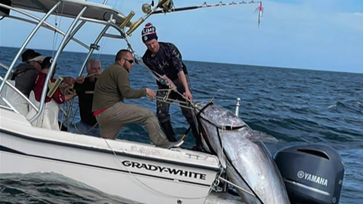 Father and Son Catch 1,000-Pound Tuna off North Carolina