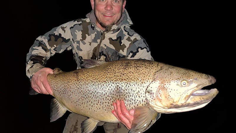 Fisherman Catches New Record Brown Trout  with a 32-Plus-Pounder!