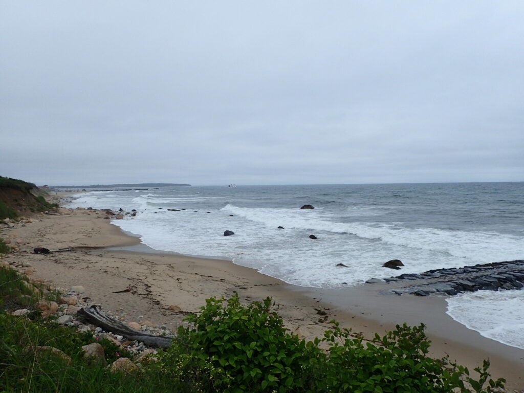 A rocky beach with overcast skies.