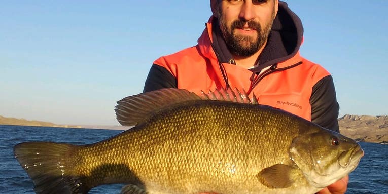Fisherman Catches New Record Smallmouth Bass