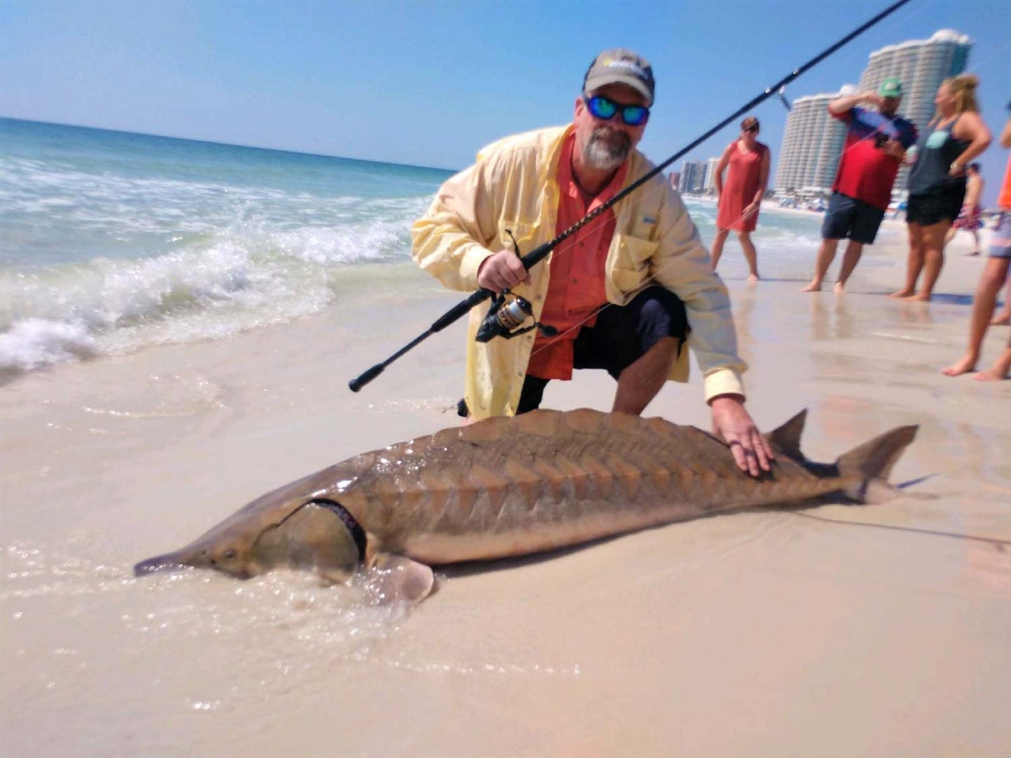 This Giant Gulf Sturgeon Could Be One of the Rarest Fish Ever Caught in the  Surf