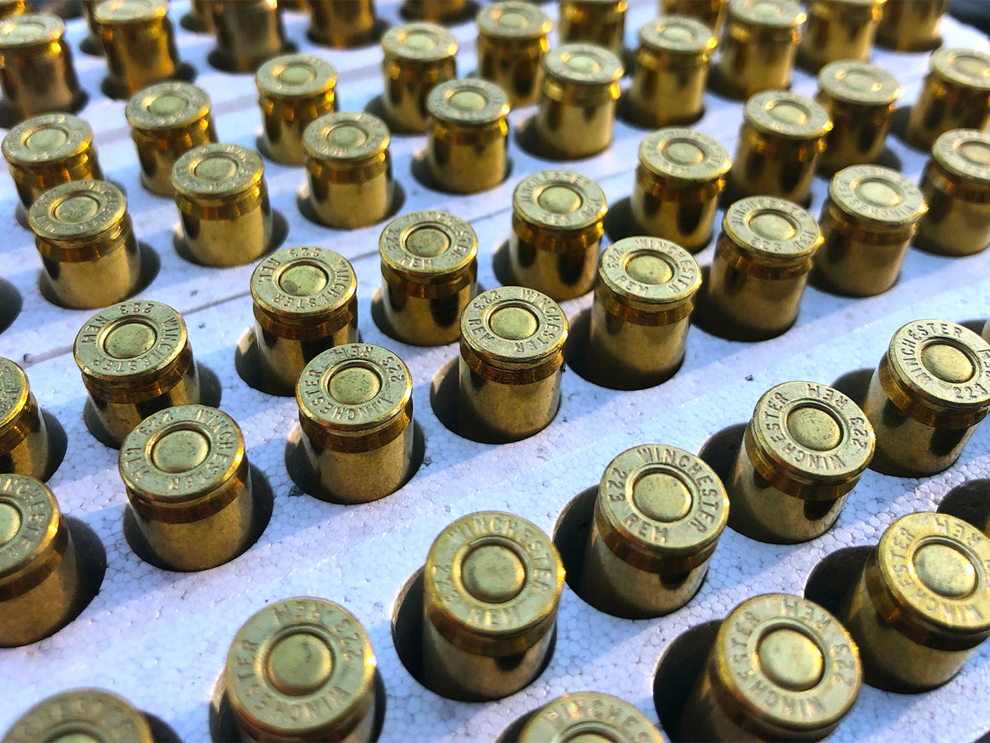 A grouping of ammunition in a holder casing.