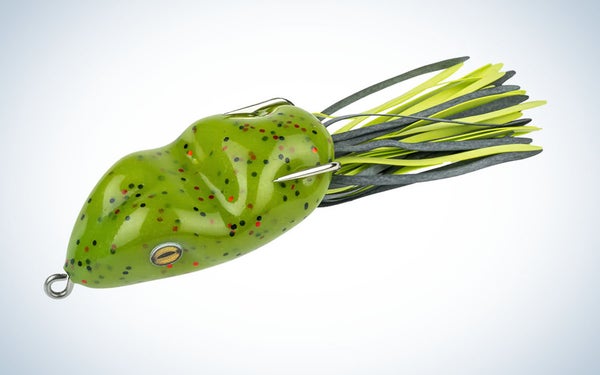 Scum frog is one of the best fishing lures for bass