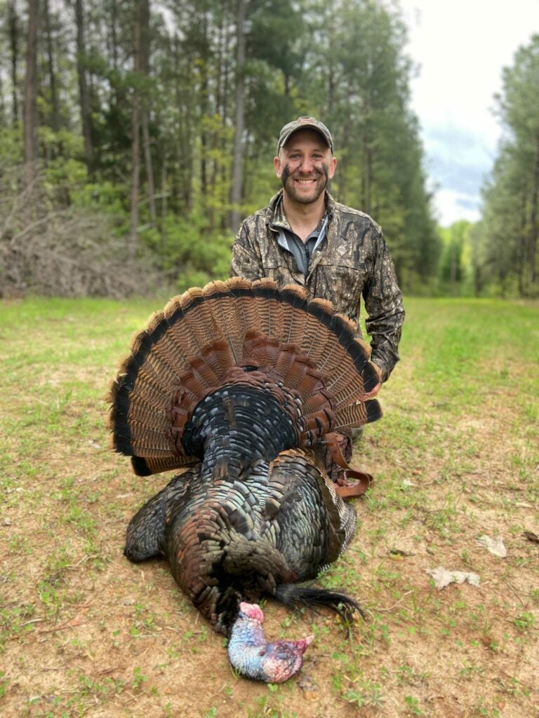 A hunter kneeling behind a Kentucky longbeard turkey.