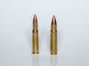 Two rifle bullets on a grey background.