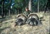 Hunter with two dead tom turkeys.