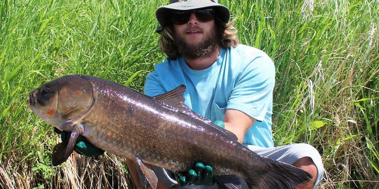 Researcher and Angler Catches 112-Year-Old Bigmouth Buffalo