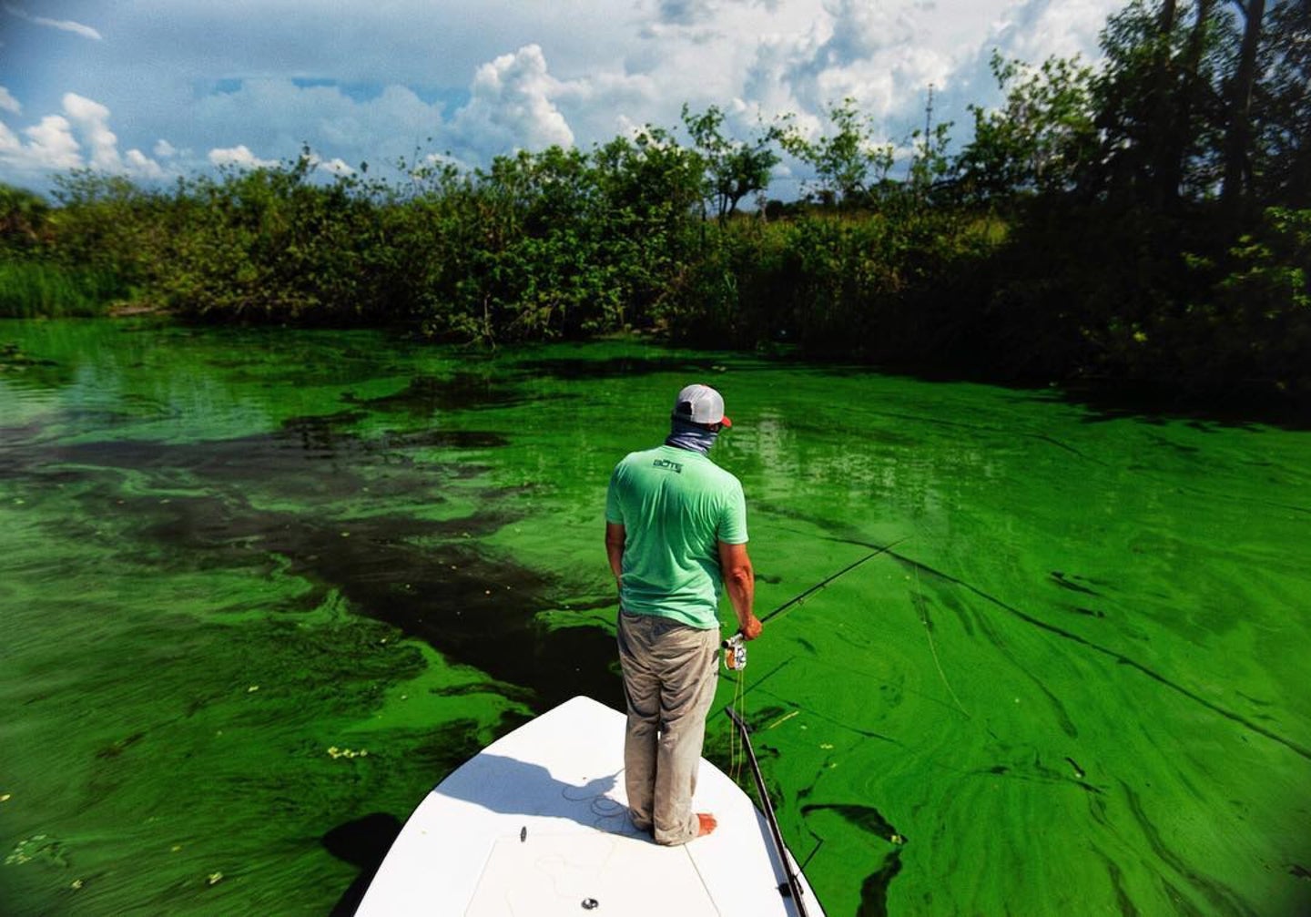 fisherman standing on a boat in an algae bloom