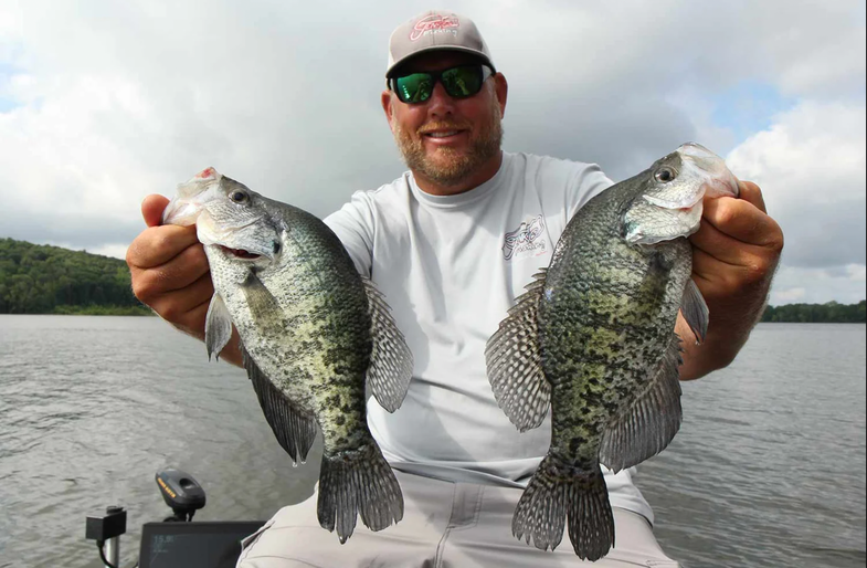 Best Crappie Baits & Lures to Catch Your Next Slab