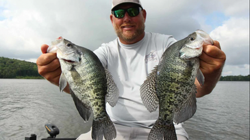 Live bait is the best crappie bait for catching slab crappies.