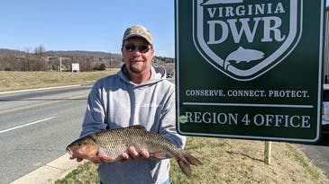 Virginia Trout Fisherman Catches a 3-Pound Minnow, Setting a New Fallfish Record