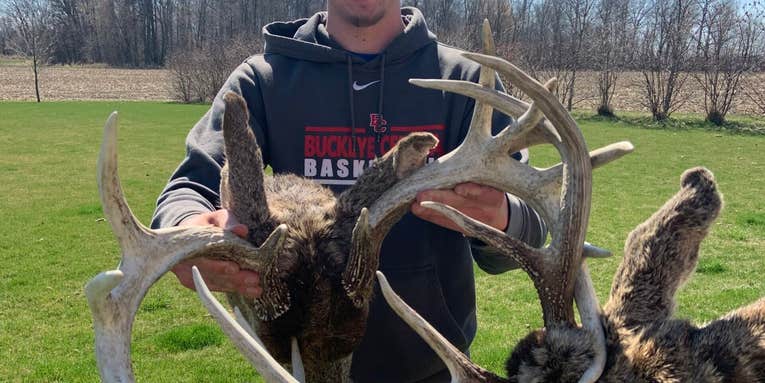 Whitetail Shed Hunter Finds 265 Inches of Antlers in a Pair of Ohio Locked-Up Dead Heads