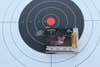 20-gauge sabot slug accuracy